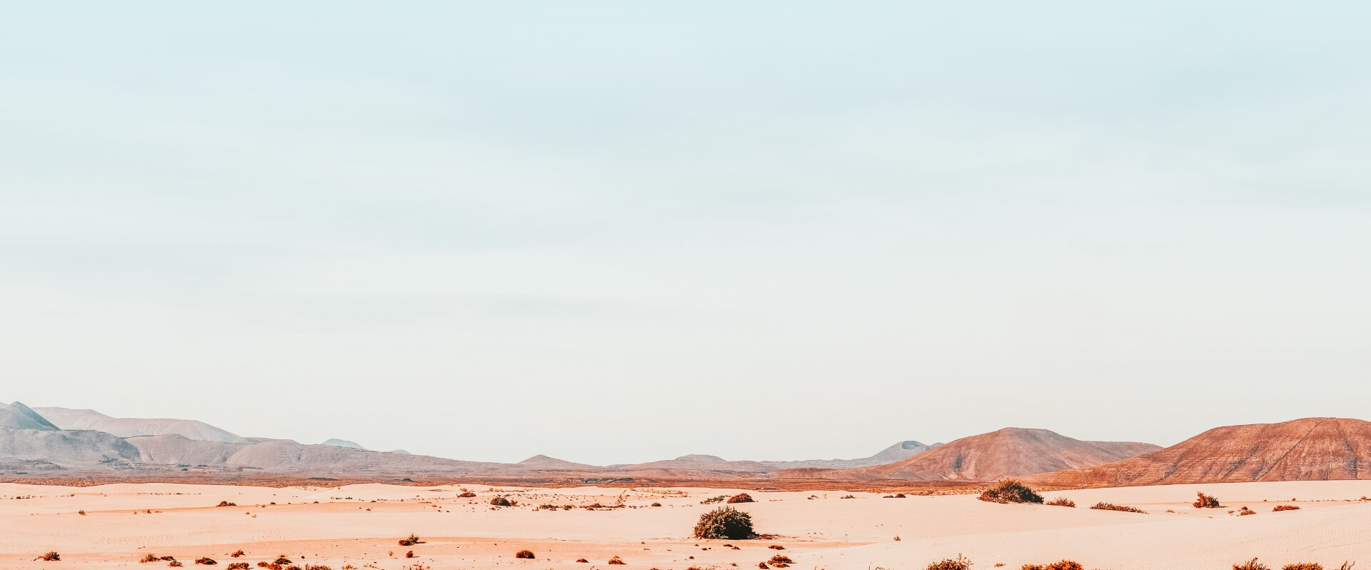 Desert landscape